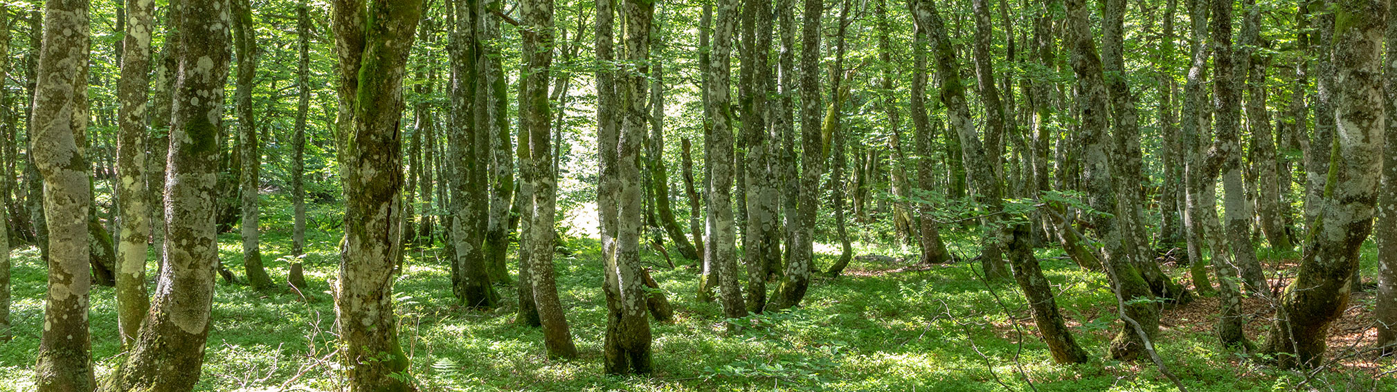 環境への取り組み